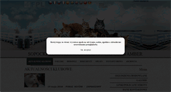 Desktop Screenshot of ccamber.pl