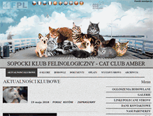 Tablet Screenshot of ccamber.pl